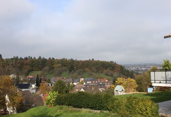 Wegen der Standortwahl und dem mangelnden Informationsfluss kritisieren Remchinger Bürger einen geplanten Windpark im Buchwald. Foto: Zachmann