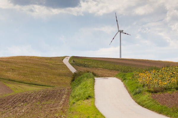 Ein Windrad auf einem Feld