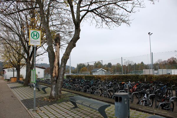 Nach wie vor bei Unregelmäßigkeiten im Busverkehr, aber auch in Sachen Bahnhofsbereich, Bolzplätzen und Treffpunkten sieht der junge Remchinger Achterrat Verbesserungspotenzial. Foto: Zachmann    